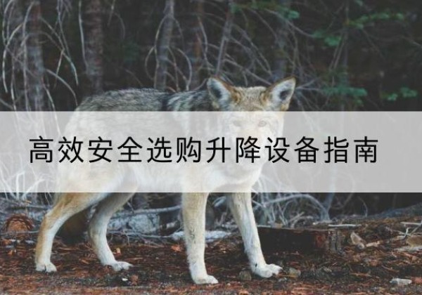 太白升降货梯厂家推荐-*安全选购升降设备指南