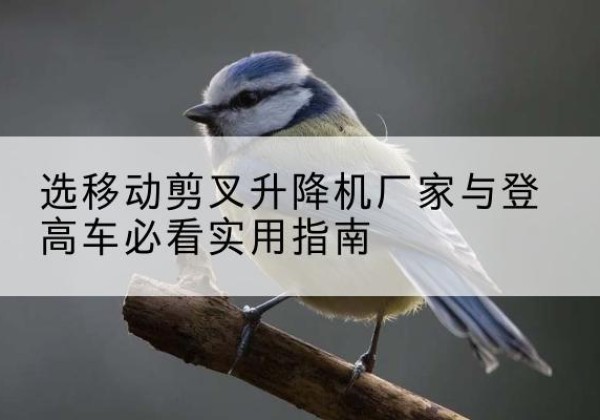 太白电动升降机厂家-选移动剪叉升降机厂家与登高车必看实用指南