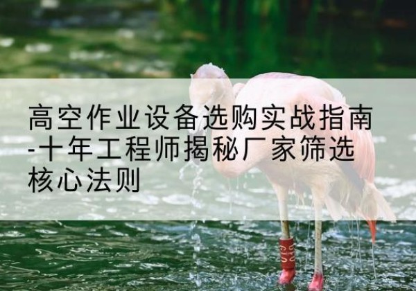 太白剪叉式升降机厂家-高空作业设备选购实战指南-十年工程师揭秘厂家筛选核心法则